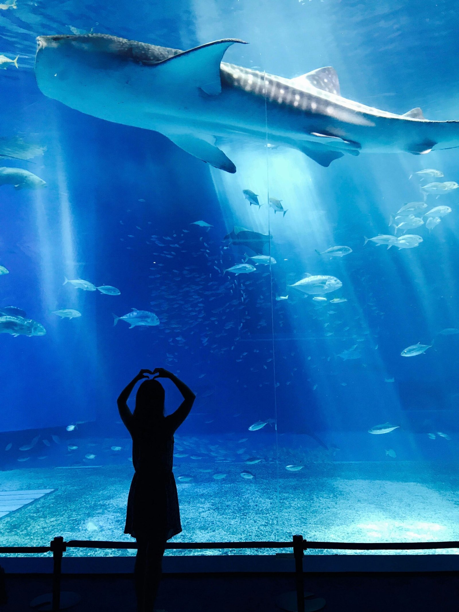 Pattaya’s Underwater World Aquarium